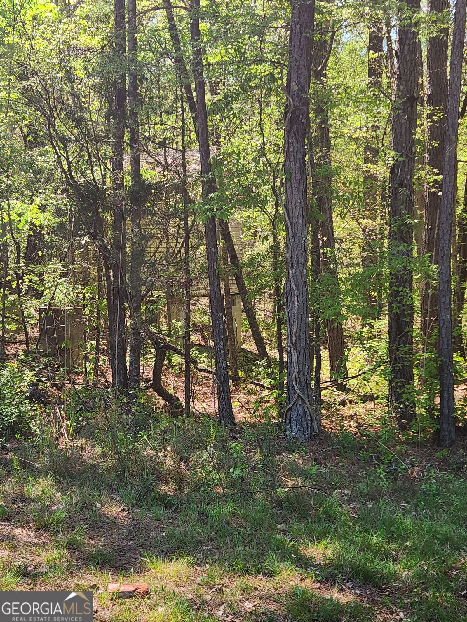Property Photo:  674 Lower River Road  GA 30016 