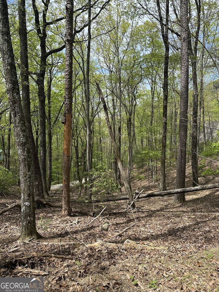 Property Photo: Lt B87 Laurel Lane GA 30536