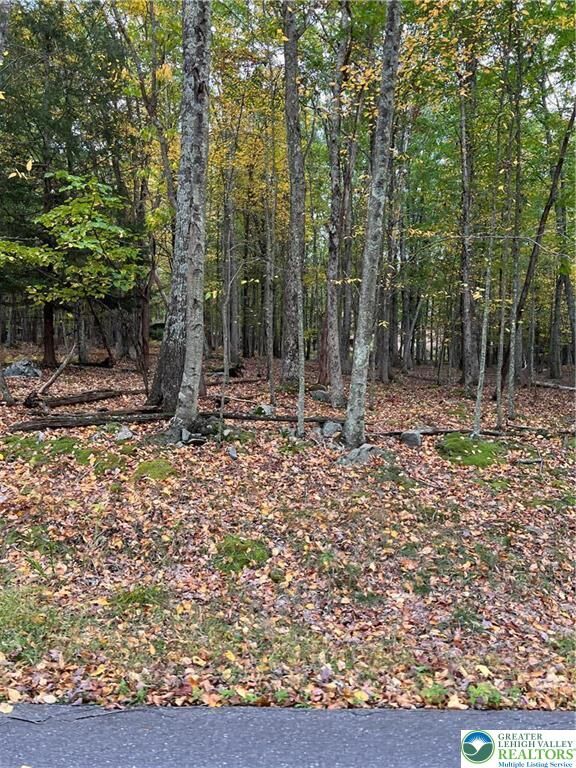 Property Photo:  289 Forest Drive  PA 18325 