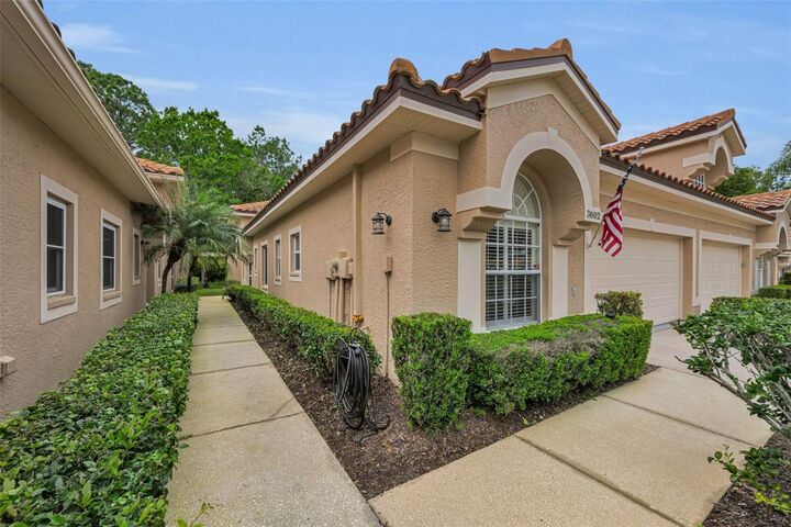 Property Photo:  3802 Darston Street  FL 34685 