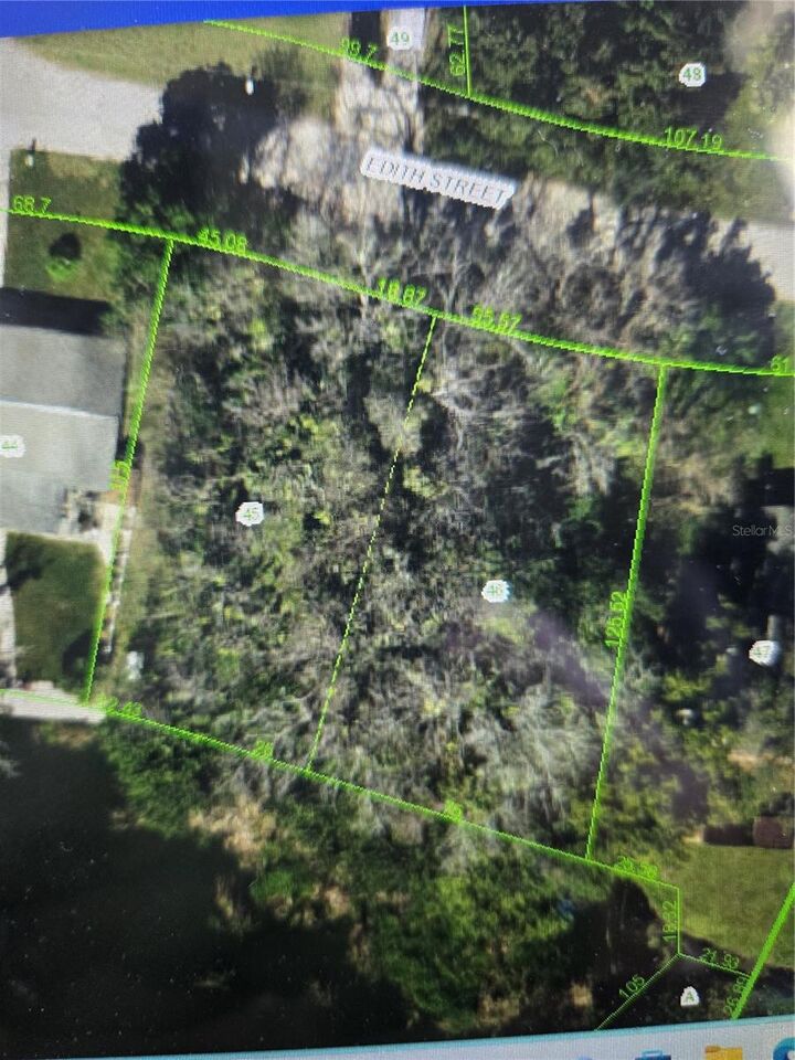 Property Photo:  4602 Edith Street  FL 34652 