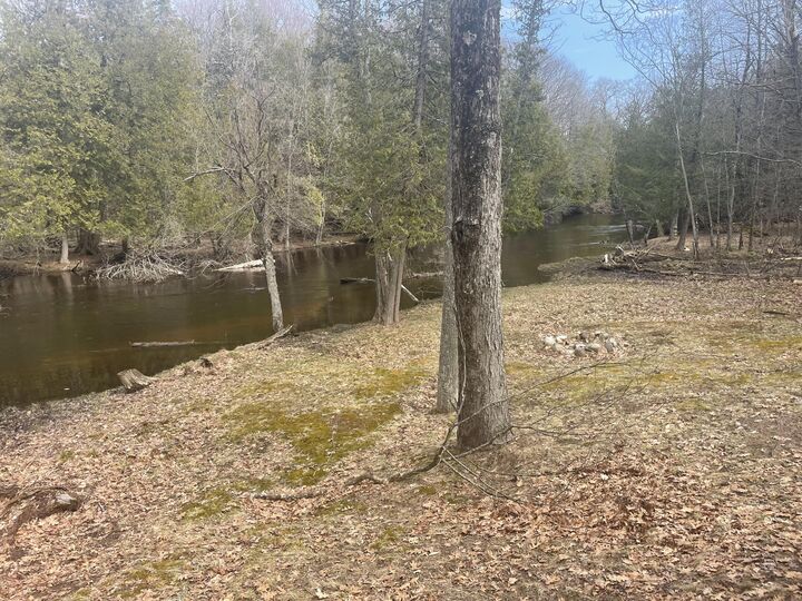 Property Photo:  617 N Croswell Avenue  MI 49349 