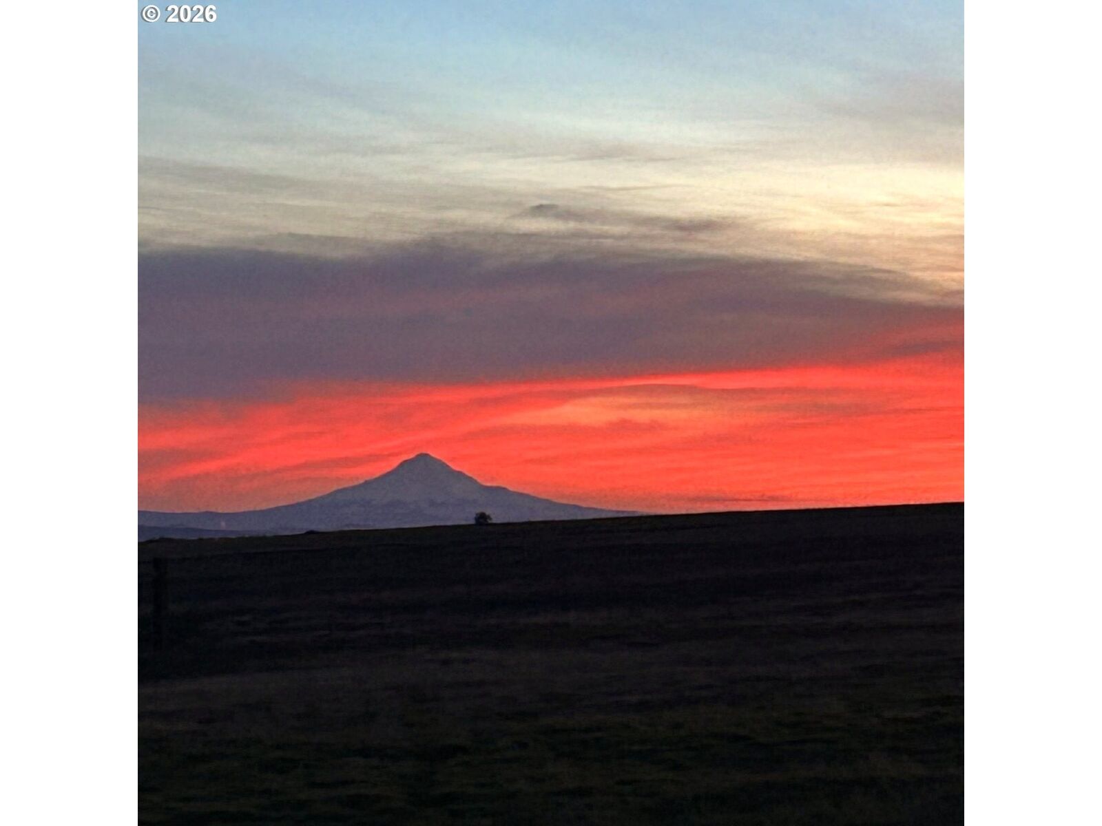 Property Photo:  Dot Rd 1  WA 99322 