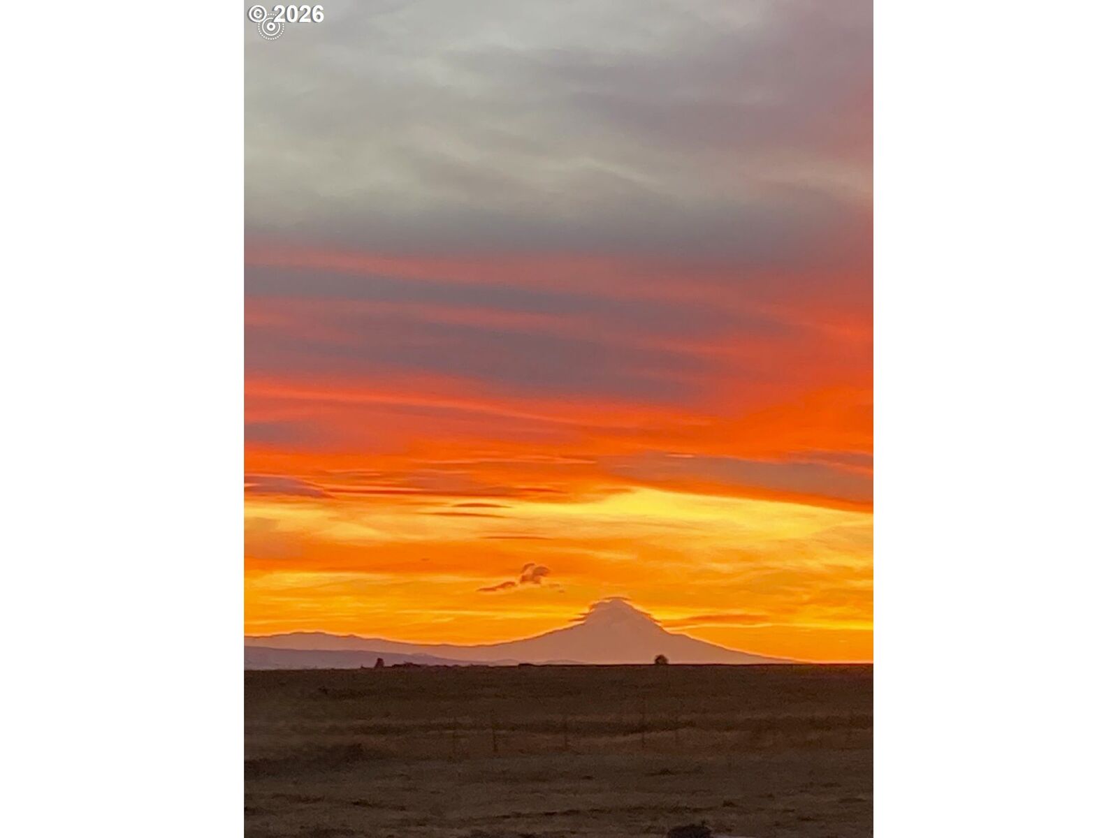 Property Photo:  Dot Rd 3  WA 99322 