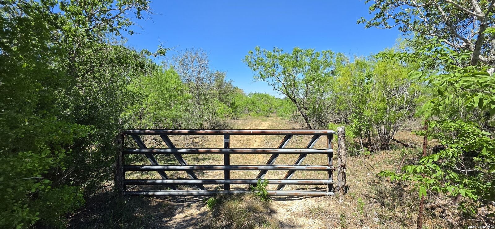Property Photo:  Tbd Fm 477  TX 78155 
