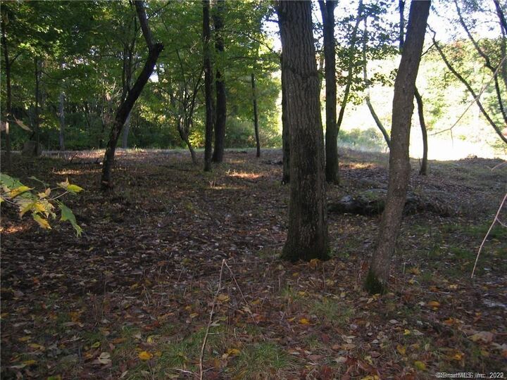 Property Photo:  67 Briarwood Lane  CT 06904 
