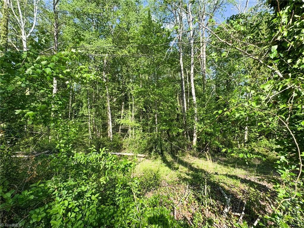 Property Photo:  2133 Westminister Lane  NC 27106 