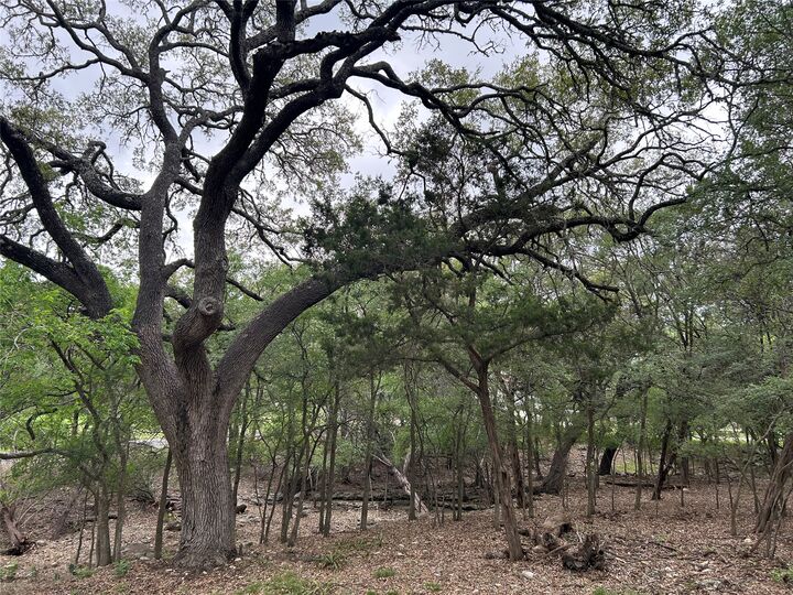 Property Photo: 2 W El Camino Real TX 78676