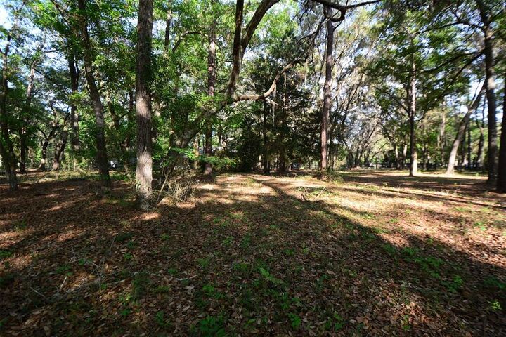 Property Photo: Parcel 6 Peeples Road FL 32097