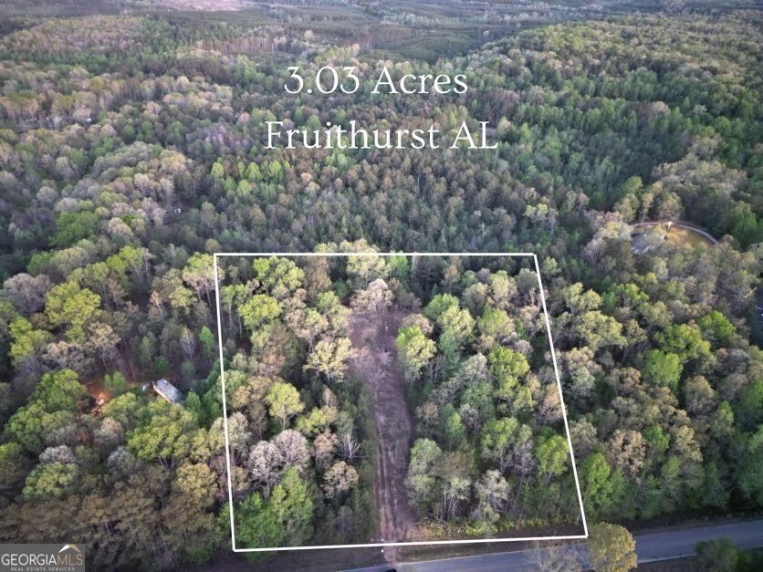 Property Photo:  456 County Road 65  AL 36262 