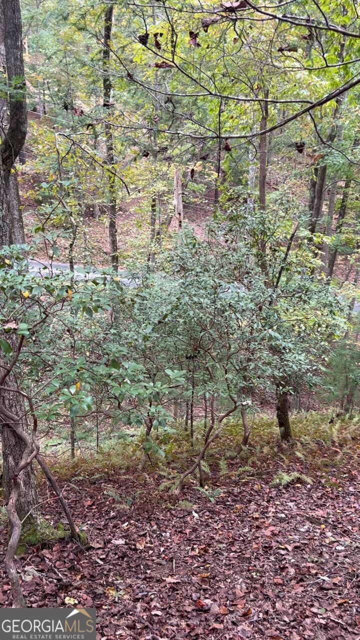 Property Photo:  0 Lower Gap Road W16  GA 30571 