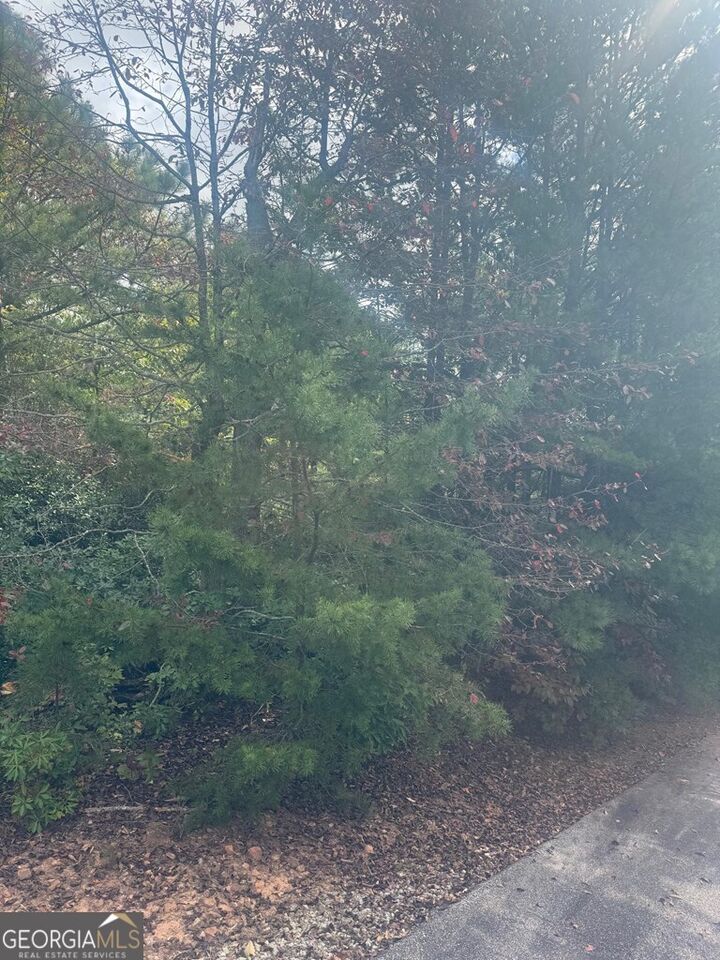 Property Photo:  Lot 16 Brown Hawk Drive  GA 30525 