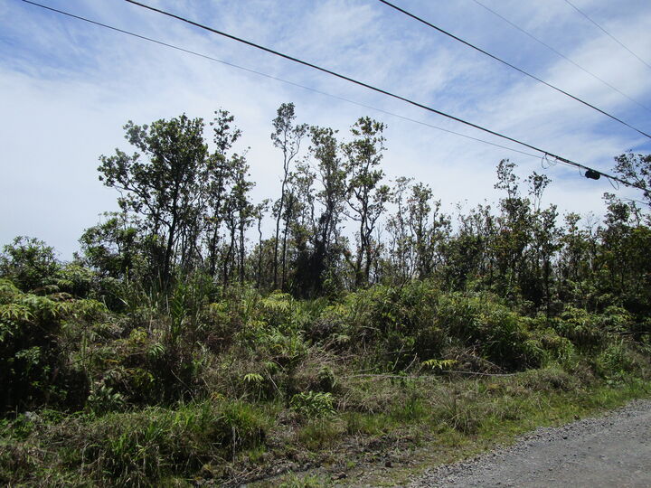 Property Photo:  Ohialani Rd  HI 96785 