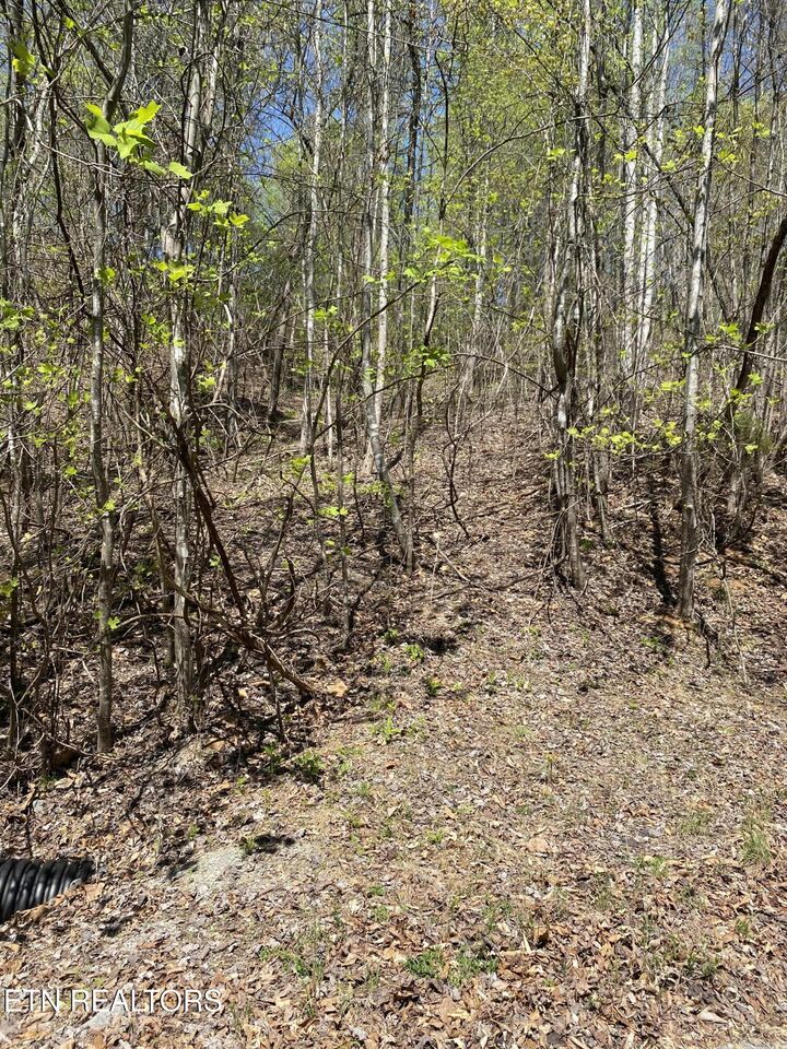 Property Photo:  Lot 549 Garnet Tr  TN 37825 