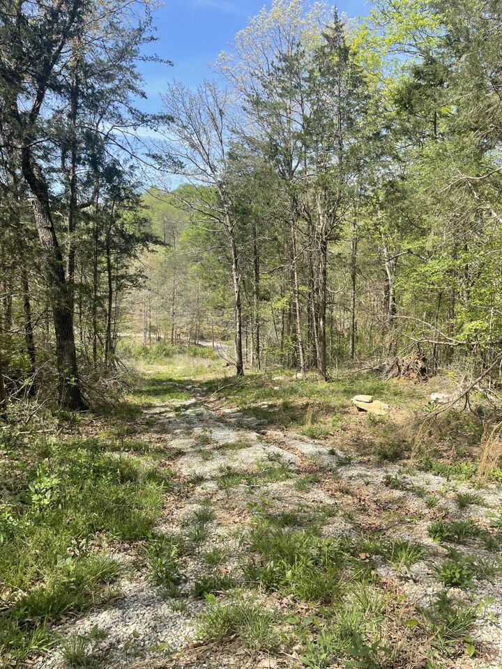 Property Photo:  4288 Elihu Cabin Hollow Road  KY 42501 