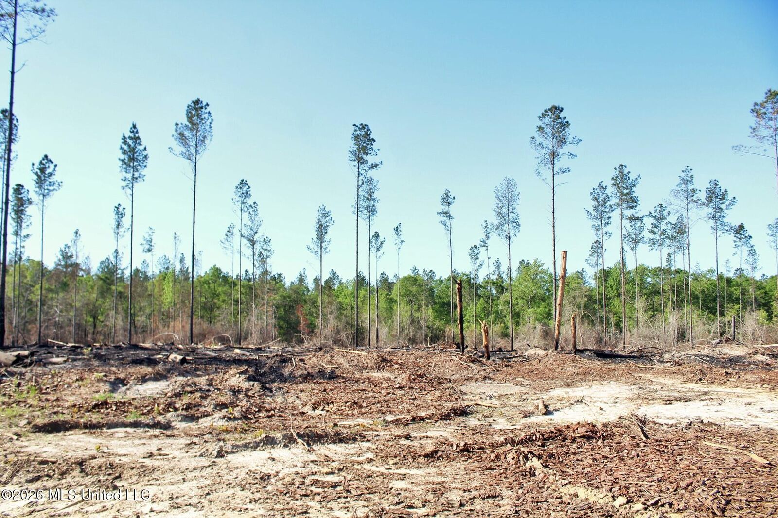Property Photo:  10.34ac Little Cedar Road  MS 39452 