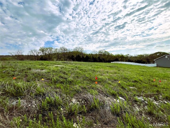 Property Photo:  3513 Butler Valley Drive  MO 63052 