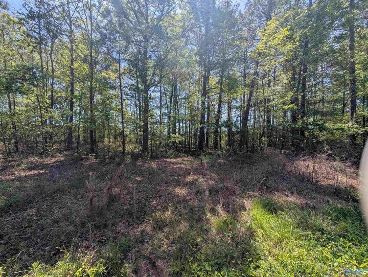 Property Photo:  11 Paradise Avenue  AL 35903 