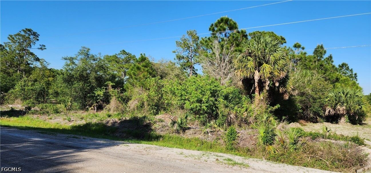 Property Photo:  815 N Palm Street  FL 33440 