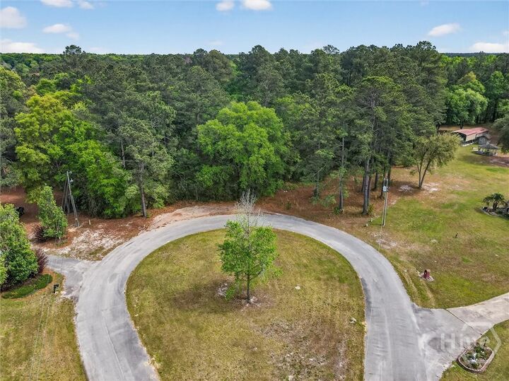 Property Photo:  0 Freeman Drive  GA 31308 
