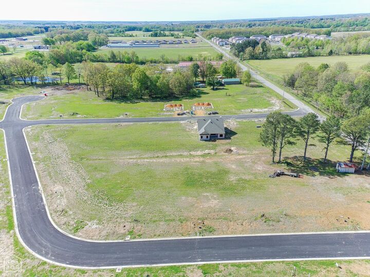 Property Photo:  117 Gordo Drive  AR 72417 