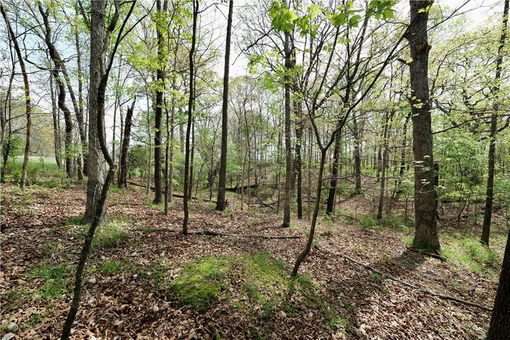 Property Photo:  Lot 23B Hummingbird Road  AR 72736 