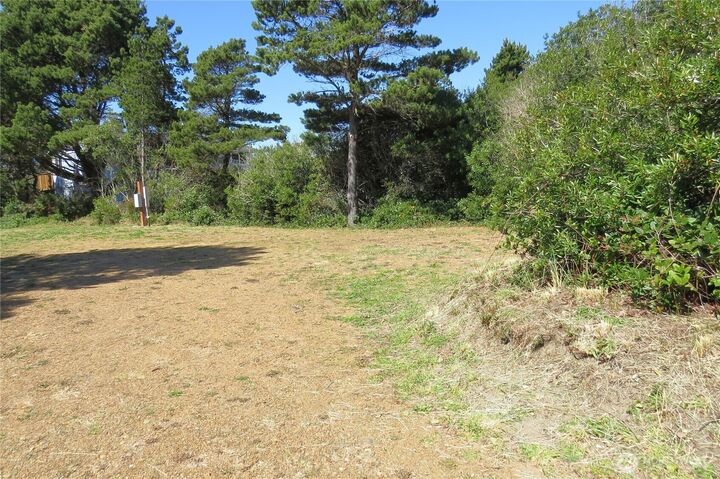 Property Photo:  319  Sand Dune Avenue NW  WA 98569 