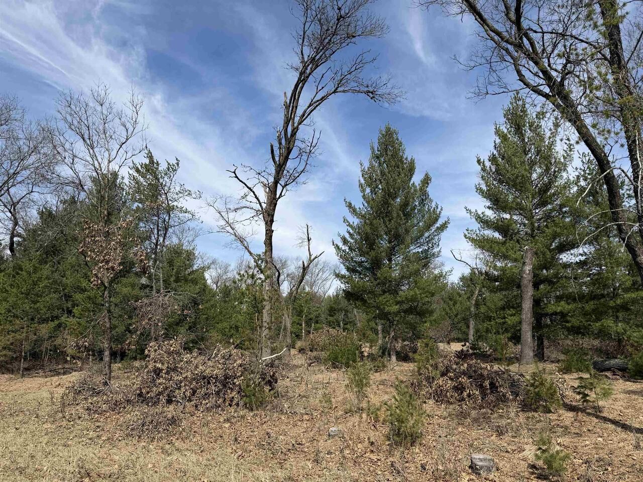 Property Photo:  Lot 30 Fern Drive  WI 53965 