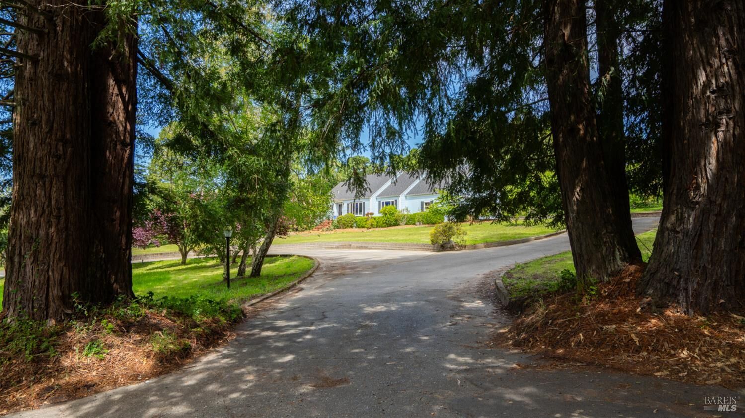 Property Photo:  8099 Yule Tree Lane  CA 95472 