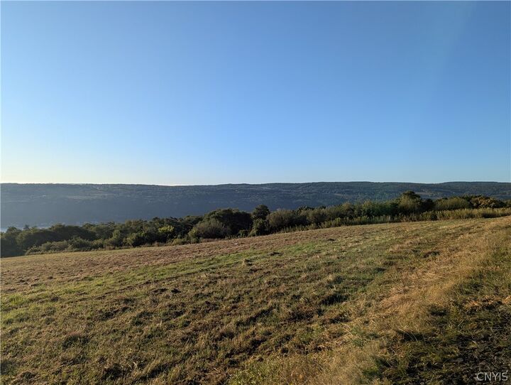 Property Photo:  Lot C County Route 76  NY 14840 
