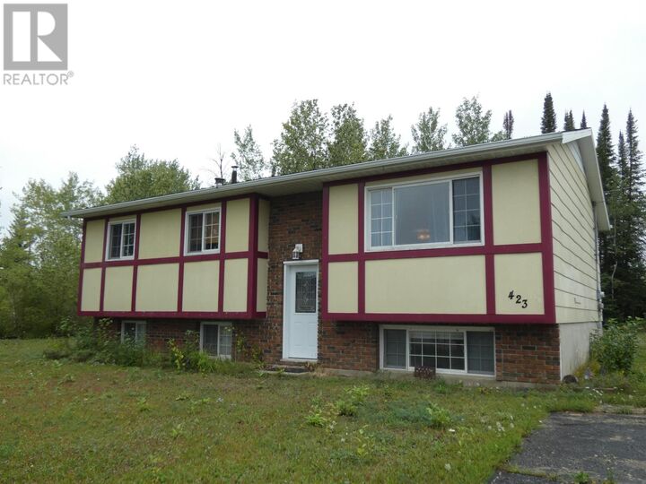 423 Birch Cres — photo 1