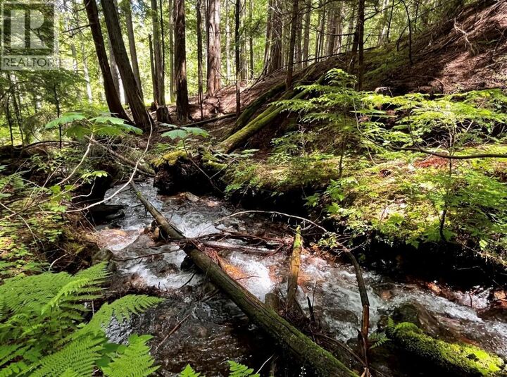 Property Photo:  Lot 2 Red Mountain Road  BC V0G 1S0 