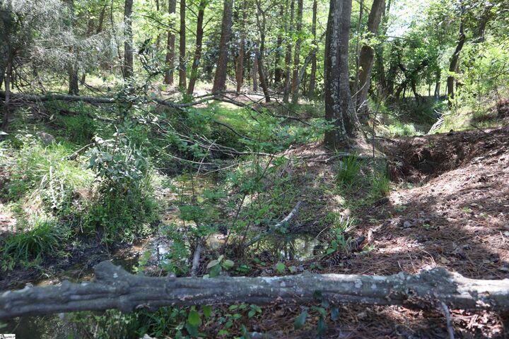 Property Photo:  0 Old Canaan Tract 5 Road  SC 29306 