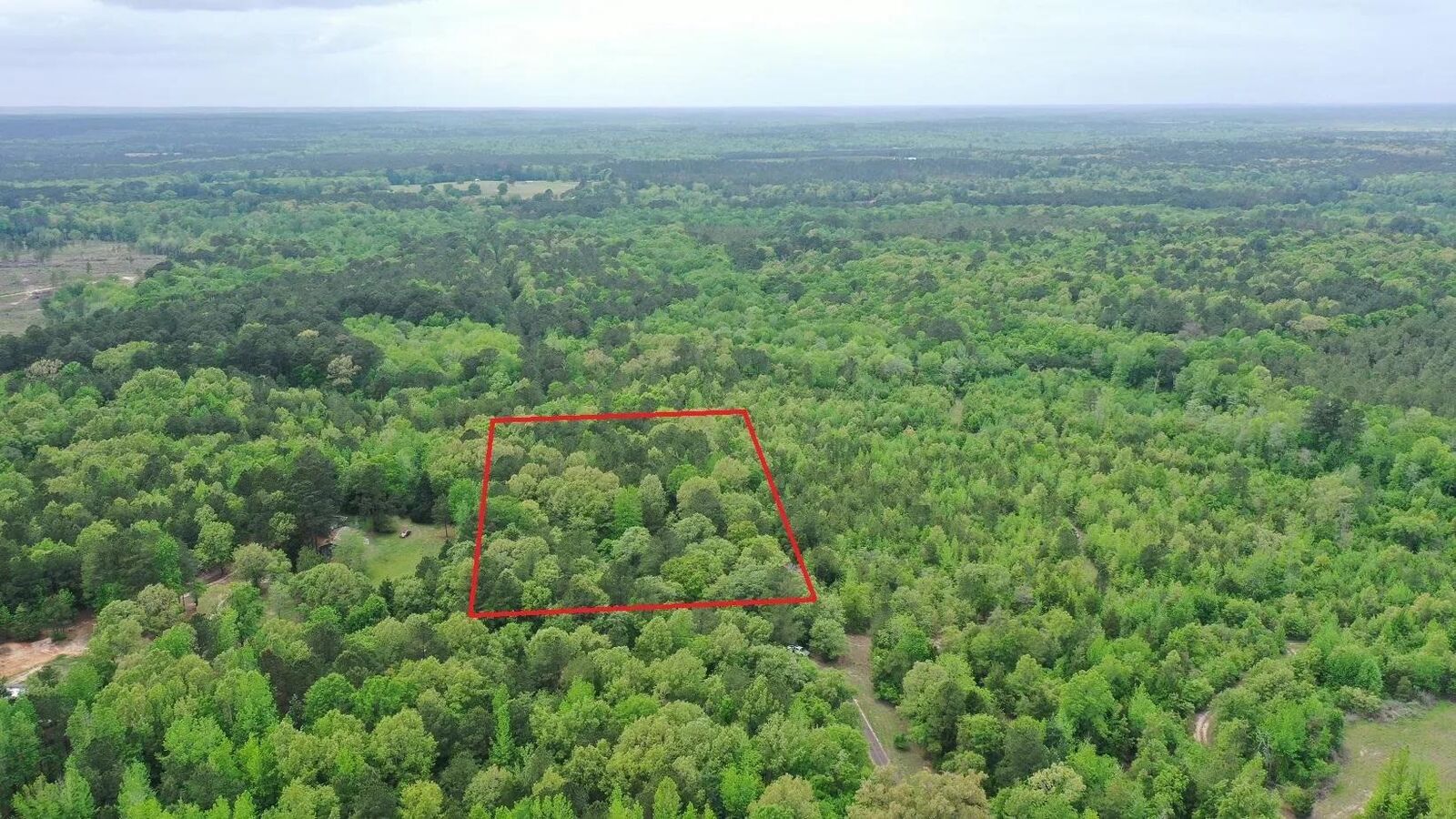 Property Photo:  0000 County Road 4346-A  TX 75555 