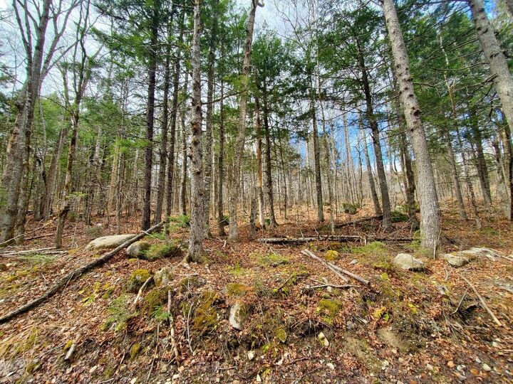 Property Photo:  0 Sandy Beach Road  ME 04424 