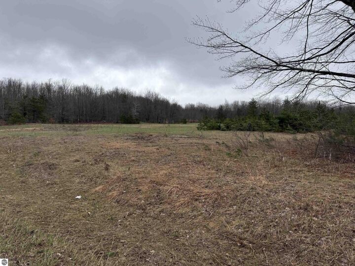 Property Photo:  N Vandermeulen Road  MI 49651 