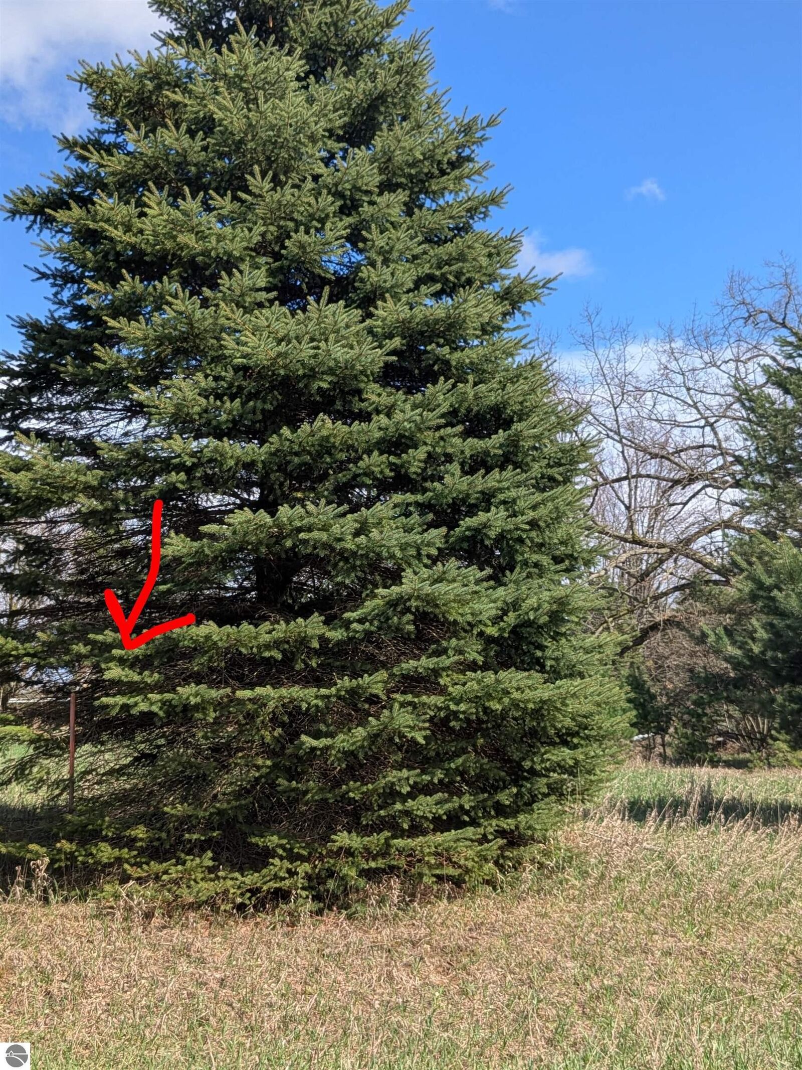 Property Photo:  1003 Kent Street  MI 48893 