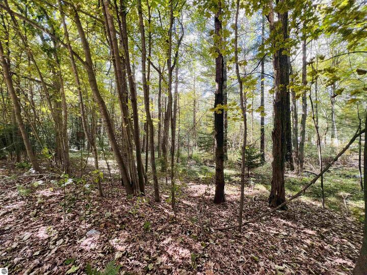 Property Photo: 00 North Boulevard MI 49601