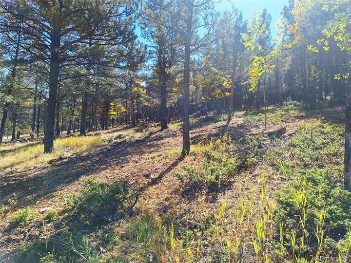 Property Photo:  1504 County Road 43  CO 80421 