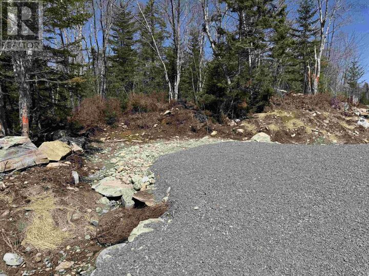 Property Photo:  Lot 5 Highway 3, Summerville Heights  NS B0T 1T0 