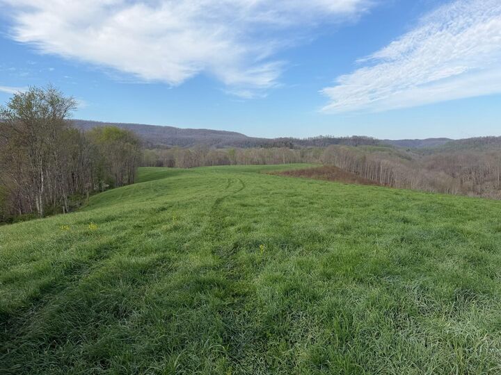 Property Photo:  1999 Snake Run Rd  WV 24910 