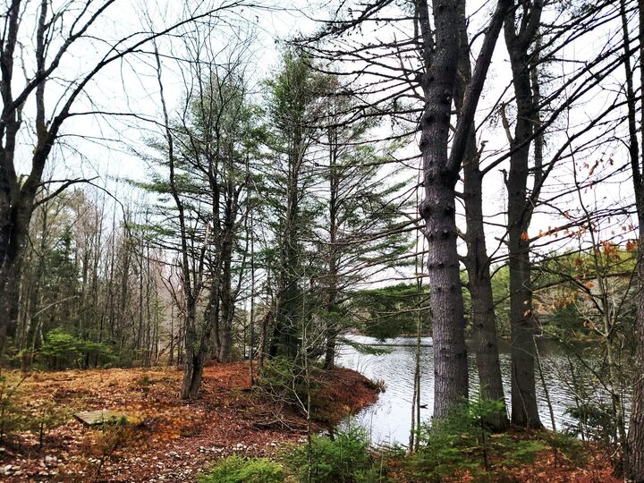 Property Photo:  217 Frost Mill Road  ME 04605 