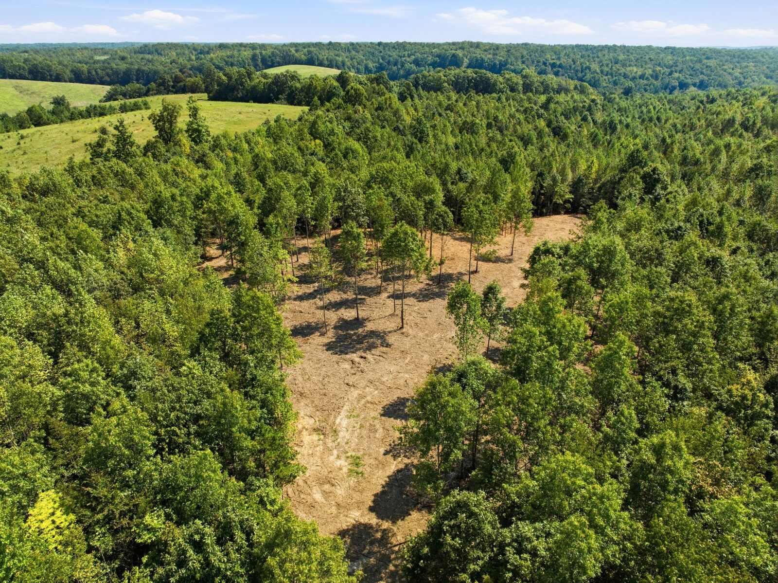 Property Photo:  0 The Retreat At Paris Landing  TN 37058 