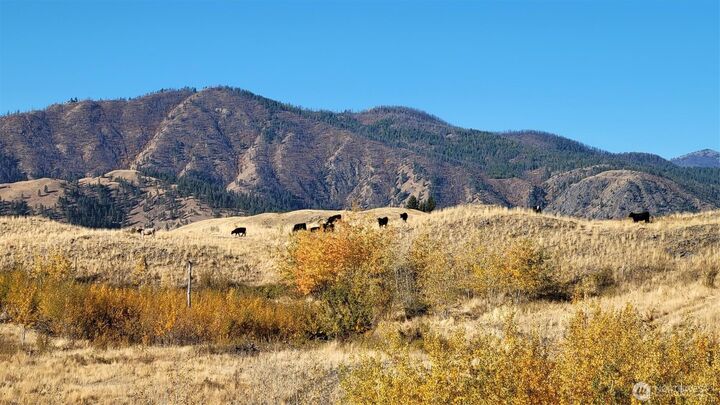 Property Photo:  0  Harrier Lane  WA 98855 