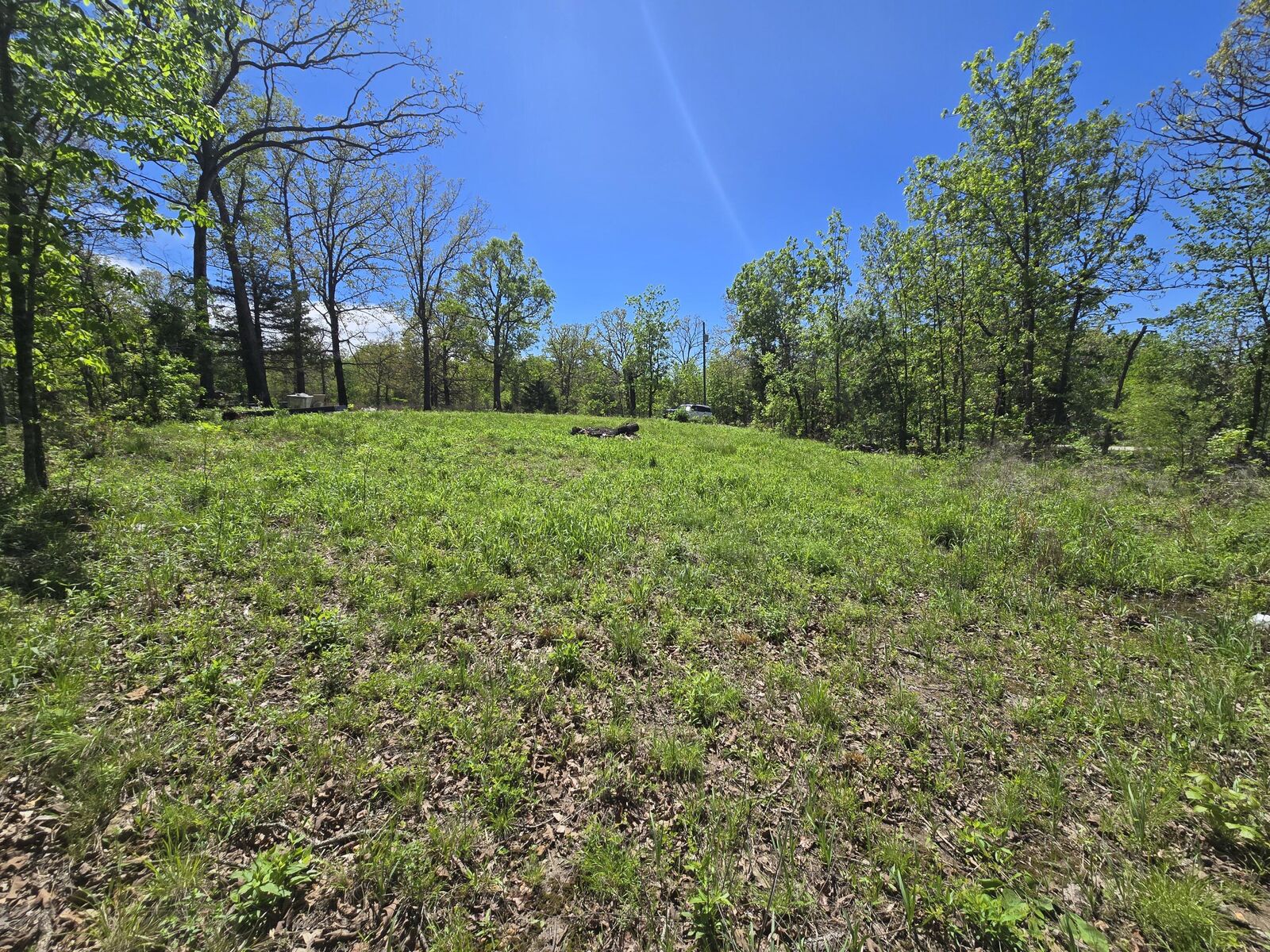 Property Photo: 24803 County Road 294 MO 65767