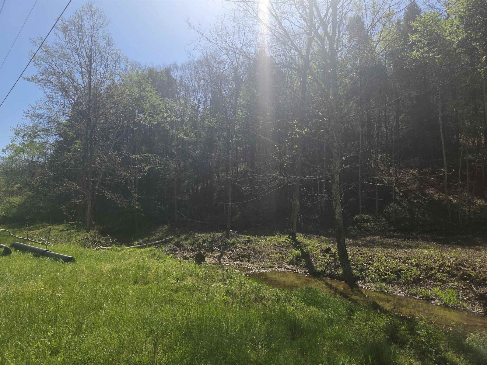 Property Photo:  Cooper Branch  KY 41144 