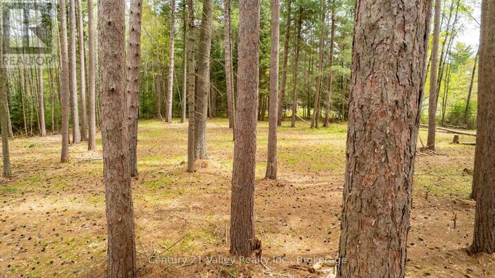 Photo de la propriété:  536 Pine Street  ON K0J 2R0 