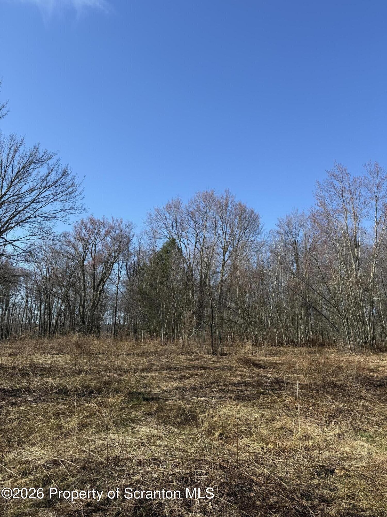 Property Photo:  Ash Gap Road  PA 18444 