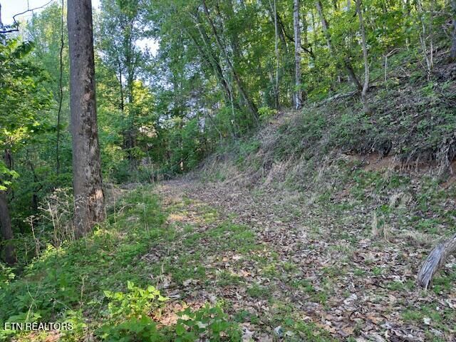 Property Photo:  Dove View Rd Lot 13  TN 37862 