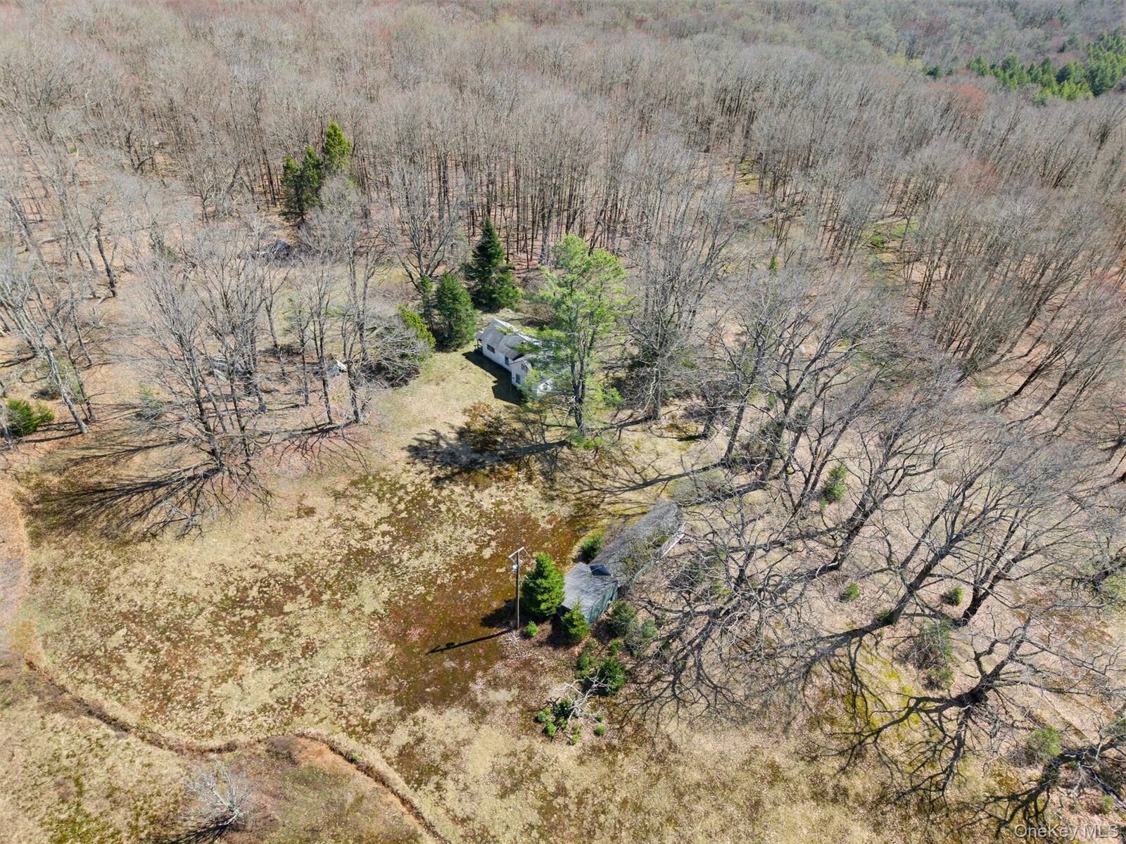 Property Photo:  467 Old Hunter Road  NY 12758 